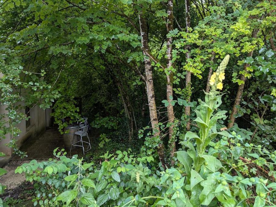 Gite Zen Dans Les Bois Blesignac المظهر الخارجي الصورة